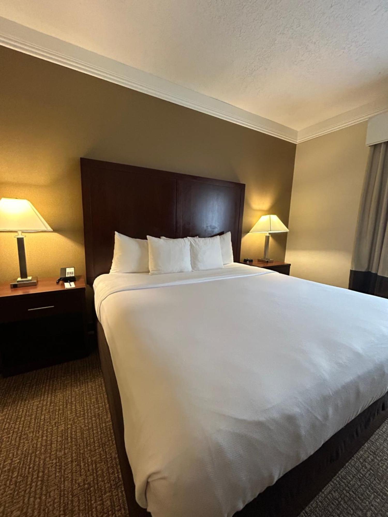 Comfort Suites Linn County Fairground And Expo Albany Exterior photo